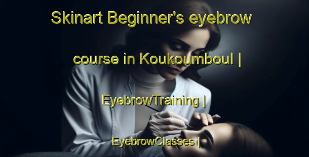 Skinart Beginner's eyebrow course in Koukoumboul | EyebrowTraining | EyebrowClasses | SkinartTraining-Togo